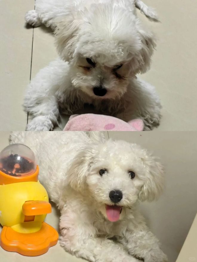 镜护理液”还有妙用！真是让人大开眼界冰球突破豪华版没想到过期的“隐形眼(图7)